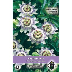 Passiflora caerulea   -seeds-