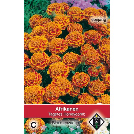 Tagetes Patula Nana 'Honeycomb' -seeds-