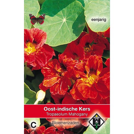 Tropaeolum m. n. 'Mahogany' -seeds-