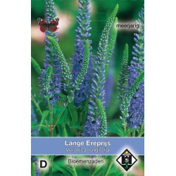 Veronica longifolia   -seeds-