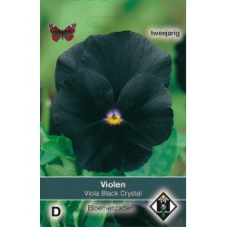 Viola x wittrockiana 'Black...