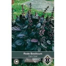Basilicum Dark Opal /...