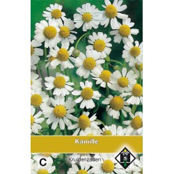 Kamille / Chamomilla   -seeds-