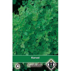 Kervel / Anthriscus   -seeds-
