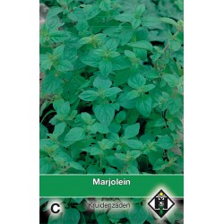 Marjolein / Origanum   -seeds-